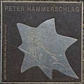 Profile Picture of Peter Hammerschlagon Wikipedia