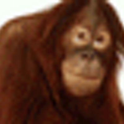 Profile Picture of Jared Abila (@AbilaJared) on Twitter