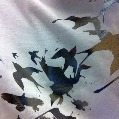 Shawn Ramos - Twitter Profile Picture of Shawn Ramos (@shawnramos1) on Twitter