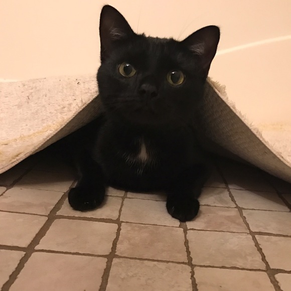 Profile Picture of Vicky Guzman (@vickyguzman_03) on Poshmark