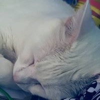 Profile Picture of Doris Evans (@doris-evans-2) on Quora