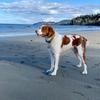 Profile Picture of Tracy Kyle (@@tracy.kyle) on Tiktok