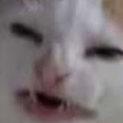 Profile Picture of Jonathan Ayers (@jonathanayers968) on Youtube
