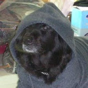 Profile Picture of Mindy Chou (@mindychou1788) on Youtube