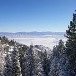 Profile Picture of Andrew Bosworth (@theodore.bosworth) on Instagram