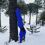 Profile Picture of t▪️o▪️l▪️e (@soledad_torres) on Instagram