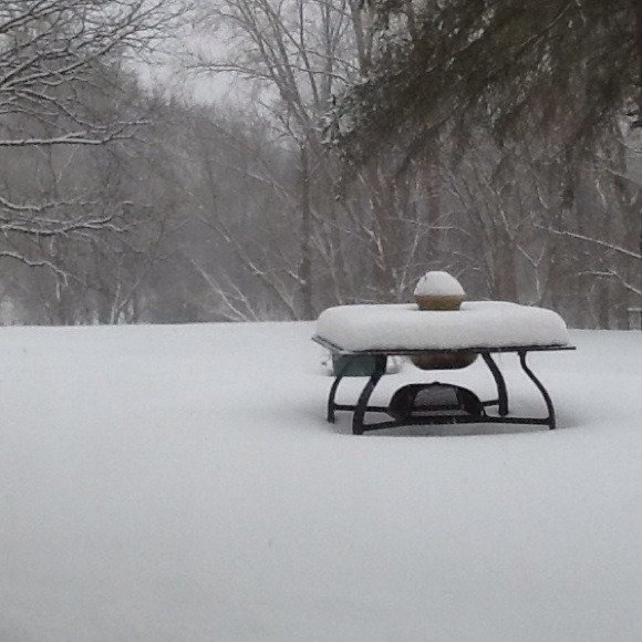 Sylvia Jordan - Poshmark Profile Picture of Sylvia Jordan (@sejc70) on Poshmark