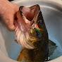 Profile Picture of Catch Cover (@@originalcatchcover) on Tiktok