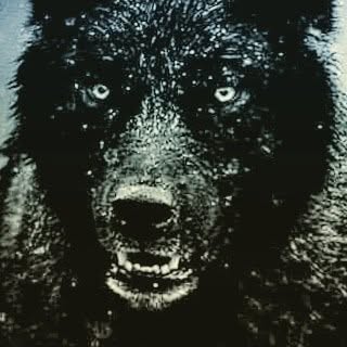 Profile Picture of Chad Pratt (@chad_pratt) on Instagram
