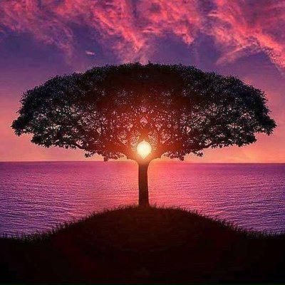 Profile Picture of Silas Ribeiro (@silasribeiro590) on Twitter