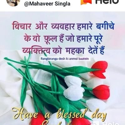Profile Picture of Shirin Ansari (@ShirinA23220324) on Twitter