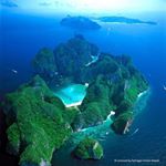 Profile Picture of Cristina Vannucci (@chrissy.fiftieight) on Instagram