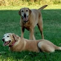 Sandy Mcgee Nolff - Quora Profile Picture of Sandy Mcgee Nolff (@sandy-mcgee-nolff) on Quora