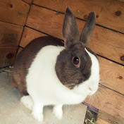 Profile Picture of Katelynn Scott (@katelynnscott9077) on Youtube