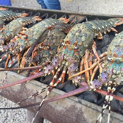 Profile Picture of مشغول (@adilrashed6) on Twitter