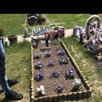 Profile Picture of RIP Luke ❤️ (@josh.cuthbertson) on Instagram