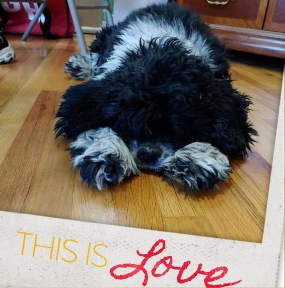 Profile Picture of Gayle Searcy (@gaylesearcy) on Poshmark