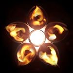 Profile Picture of David Mignot (@dmignot) on Instagram