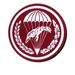 Profile Picture of Peter Wesolowski (@cobrapeter67) on Pinterest