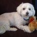 Profile Picture of Lillian Hansen (@lhansen129) on Pinterest