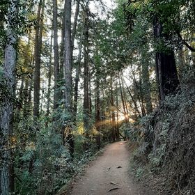 Profile Picture of Robin Lunn (@lunazoon) on Pinterest