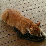 Profile Picture of Howard Dabatha (@howie_dabney_stewart) on Instagram