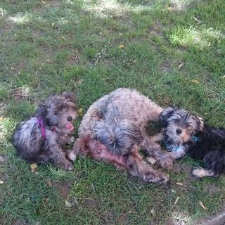 Profile Picture of Jérôme Benavides (@jerome.benavides.777) on Facebook