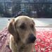 Profile Picture of Tom Rathjens (@tom.rathjens.54) on Facebook