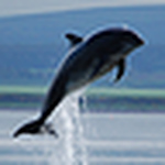 Profile Picture of john morrison (@JOCK MO) on Flickr