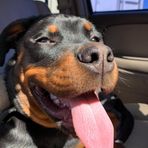 Profile Picture of Matthew Padgett (@matthew.padgett.96) on Facebook