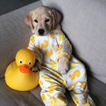 Profile Picture of JM (@jodymellon) on Instagram