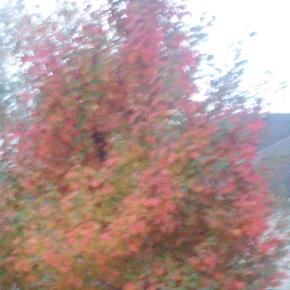 Profile Picture of Herbert Boehmer (@herbgloria) on Poshmark