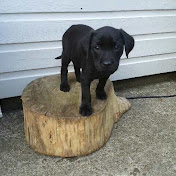 Profile Picture of Nathan Burman (@nathanburman2885) on Youtube