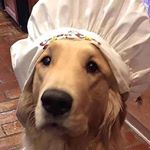 Michael Gehrmann - Instagram Profile Picture of Michael Gehrmann (@michael_gahrmann) on Instagram