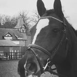 Trisha Fitton - Instagram Profile Picture of Trisha Fitton (@trisha8675) on Instagram