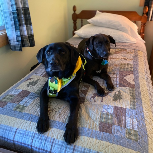 Profile Picture of Caroline Avitabile (@ca124) on Poshmark