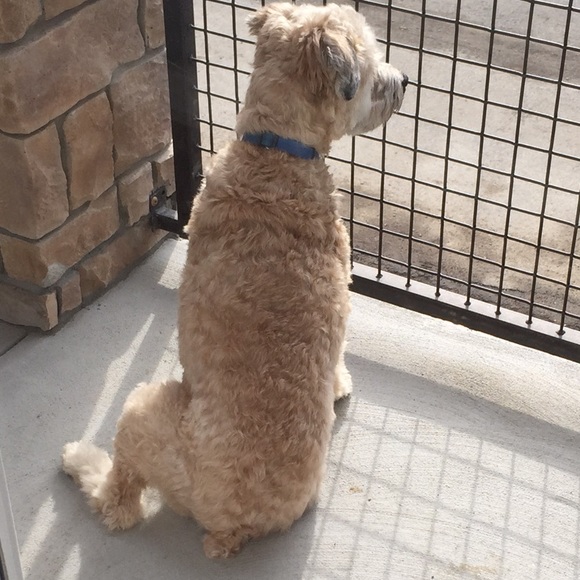 Profile Picture of Nakeesha Dugas (@keeshaj2000) on Poshmark