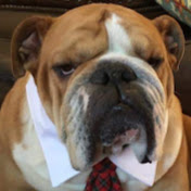 Profile Picture of Ron Phillips (@ronphillips8767) on Youtube