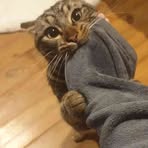 Profile Picture of Lise Tedeschi (@zou.delou.77) on Facebook