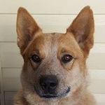 Wayne Scanlon - Instagram Profile Picture of Wayne Scanlon (@wayne.scanlon) on Instagram