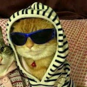 Profile Picture of Thomas Pontes (@thomaspontes2053) on Youtube