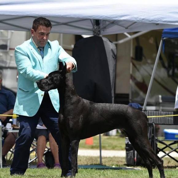 Profile Picture of David Beek (@davidbeek1) on Poshmark