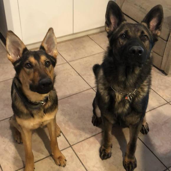 Joe Quirk - Poshmark Profile Picture of Joe Quirk (@jquirk628) on Poshmark