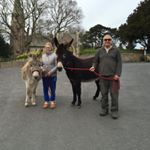 Profile Picture of Kim Pengelly (@kimpengelly1) on Instagram