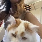 Profile Picture of Amanda Wiehe (@Amanda-Wiehe) on Facebook