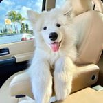 Profile Picture of Mrs Michael 👰🏻🤵🏻 (@jayme_felix) on Instagram