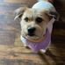 Profile Picture of Candee Cain (@candee.cain.71) on Facebook