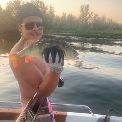 Profile Picture of Dave Den Dekker (@DavedenDekker1) on Twitter