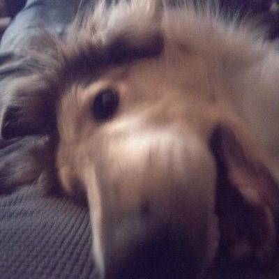 Profile Picture of Edward W. Stanley (@Edwardwstanley) on Twitter