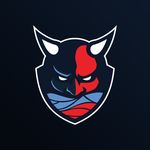 Profile Picture of Hamburg Sea Devils (@hamburgseadevils) on Instagram